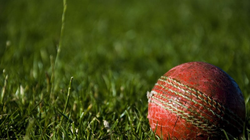 世界杯小组赛C组赛事直播回放